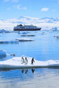Hurtigruten - Antarctica penguin