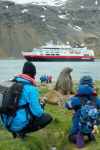 Hurtigruten - Antarctica wildlife