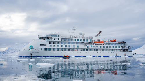Aurora Expeditions - Antarctica For 20242025