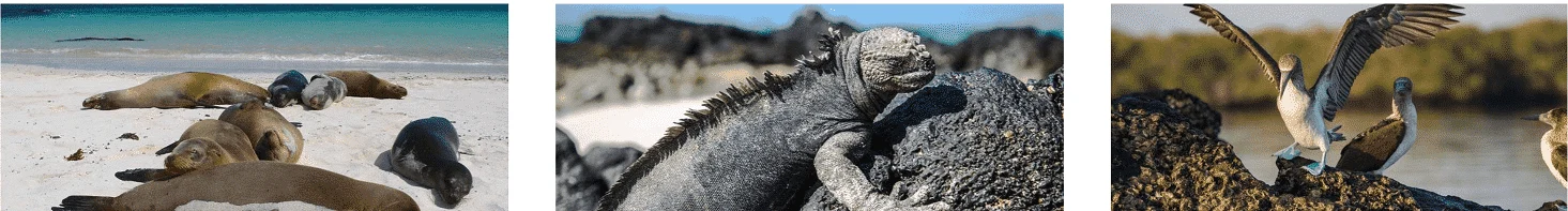 G Adventures - South America tours