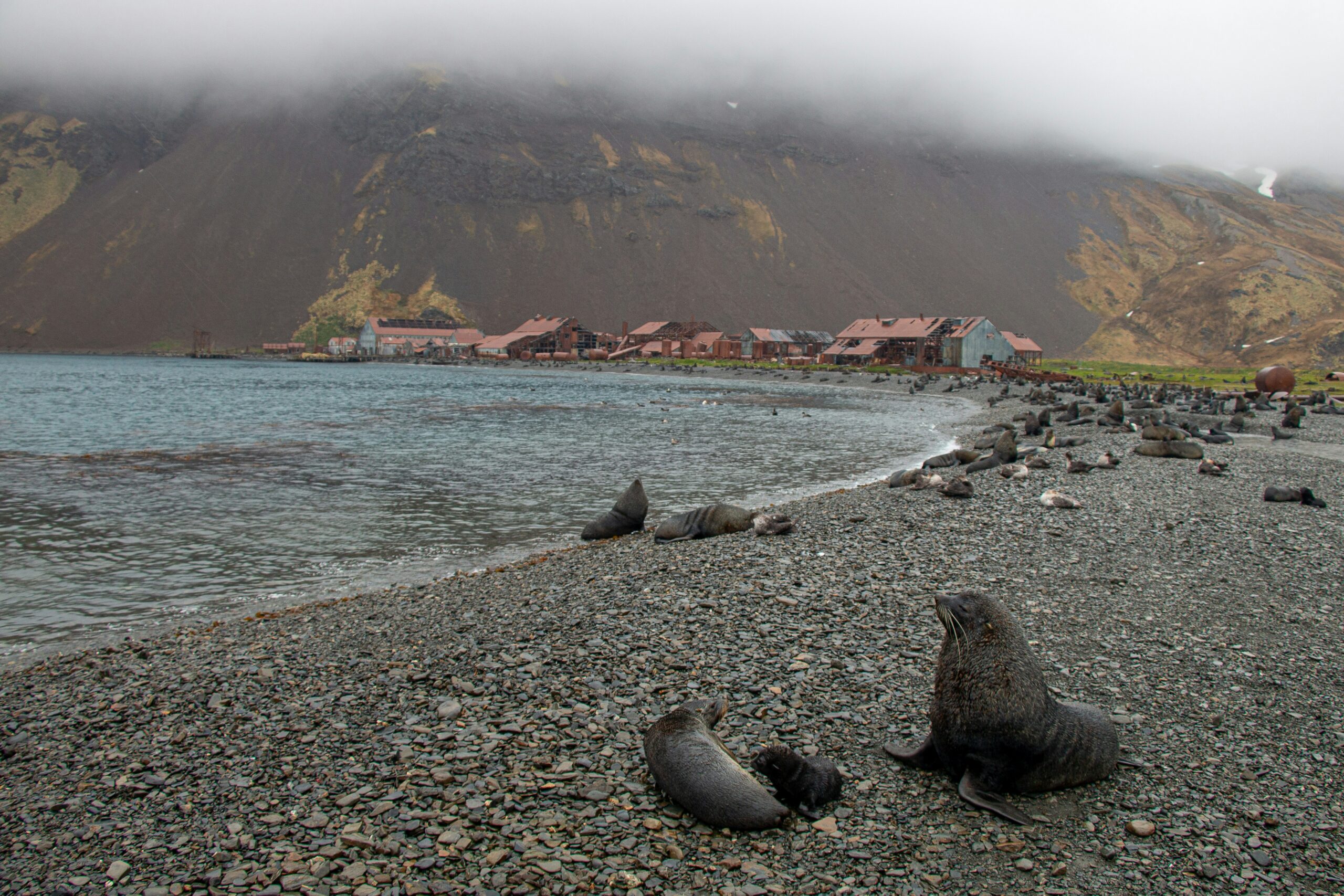 Expedition Cruise Ship Photo by arcticdesire com polarreisen via Unsplash+.
