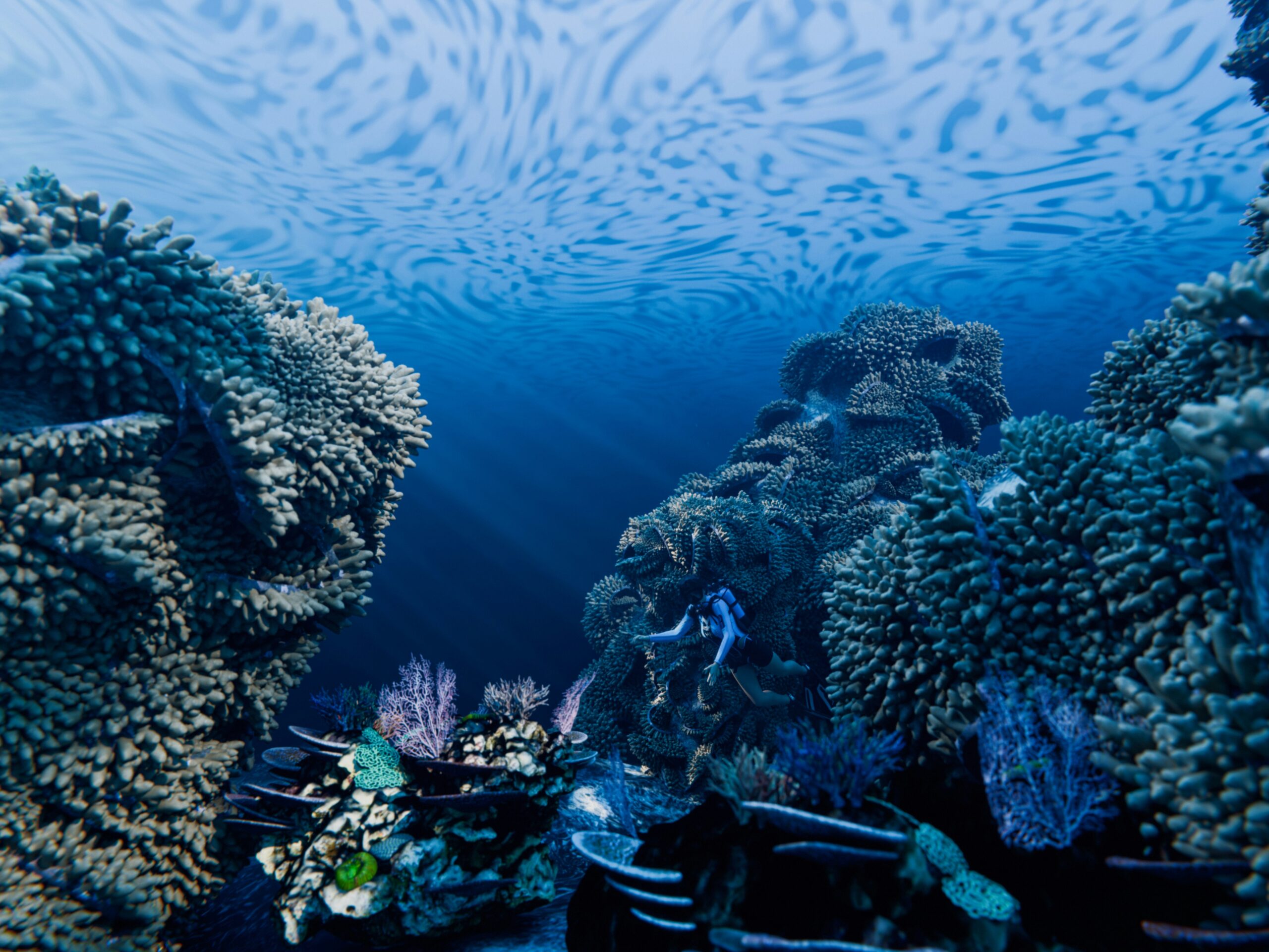 Expedition Cruise Ship Photo by paris bilal via Unsplash+.